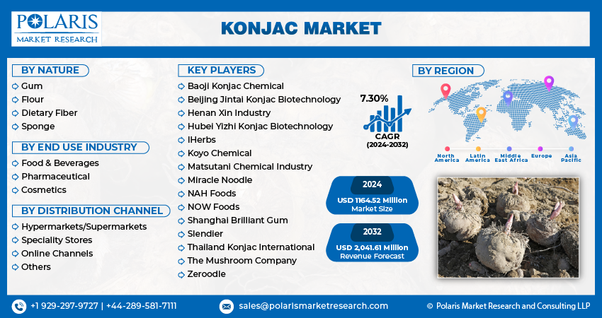 Konjac Market Size